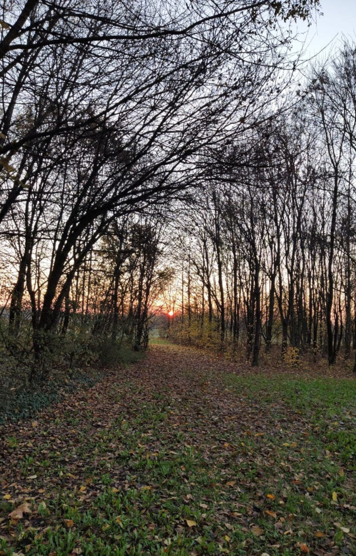Tramonto sull'Agriturismo CantaRana