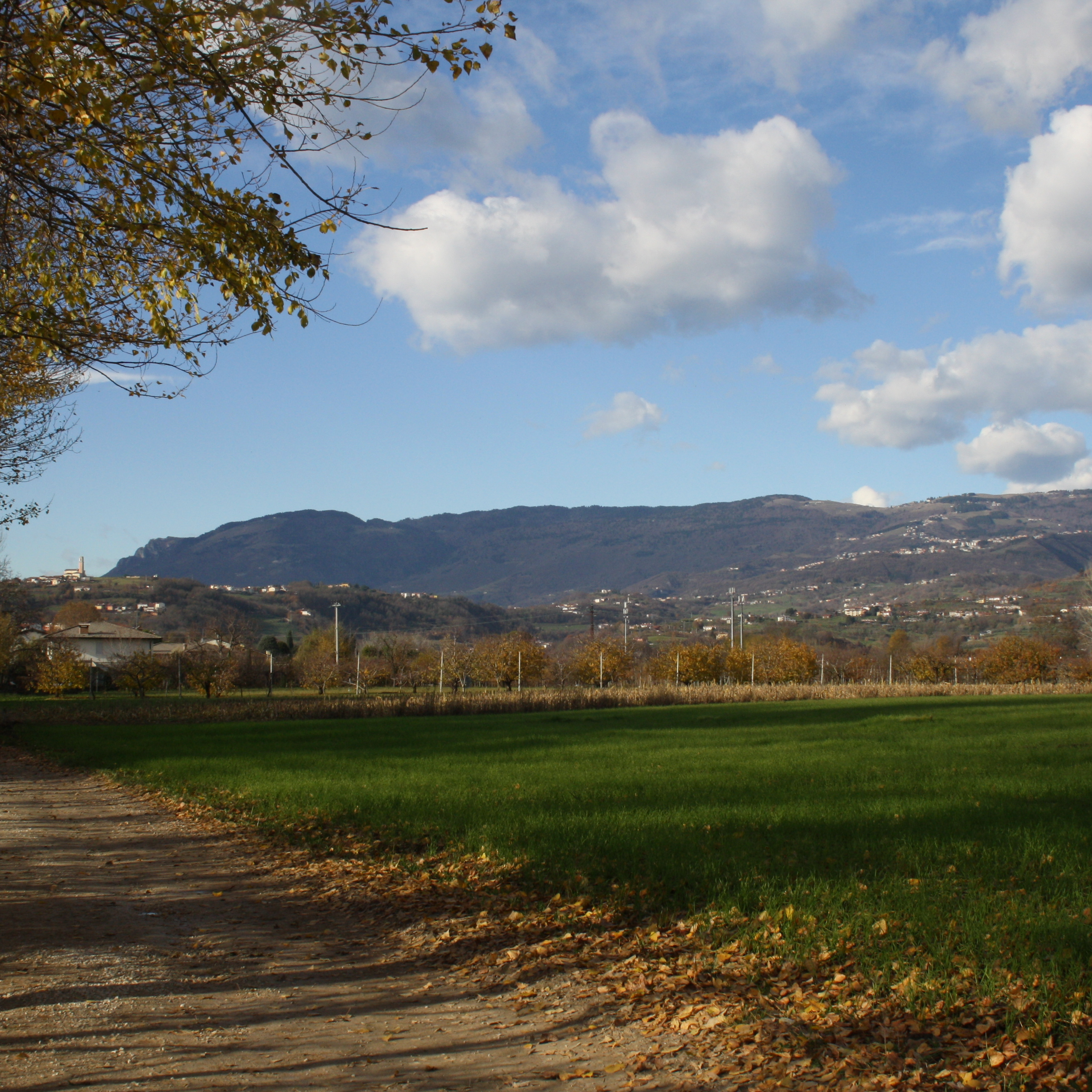 Vista panoramica dai dintorni di Agriturismo CantaRana