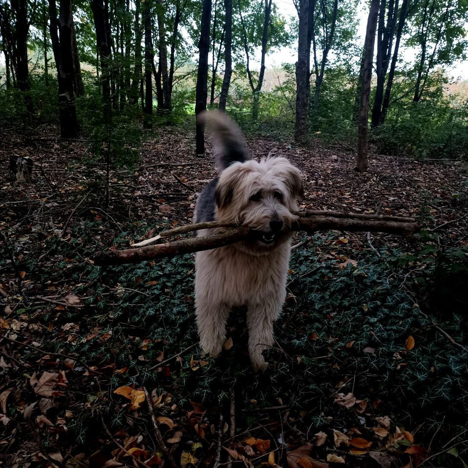 Area verde dell'agriturismo dove gli animali sono i benvenuti