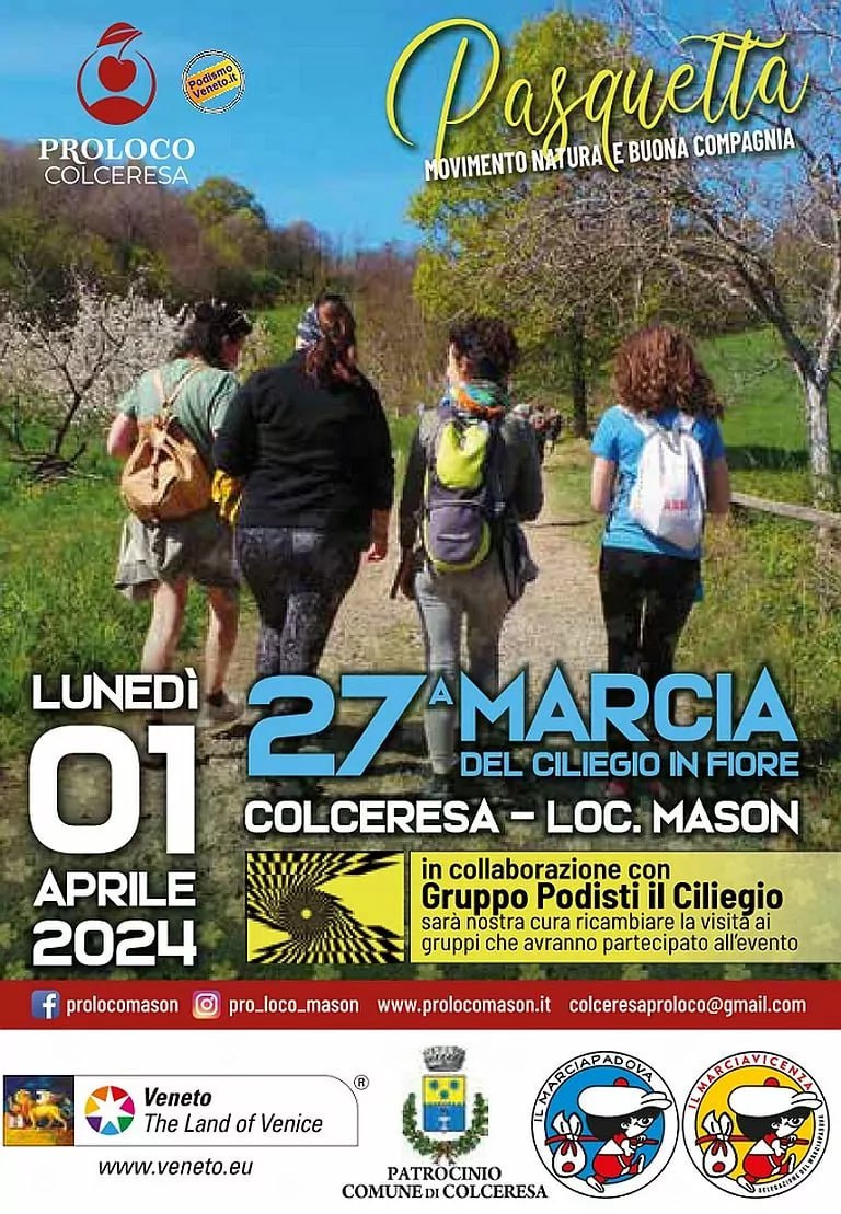 Marcia Ciliegio in Fiore durante la primavera a Marostica