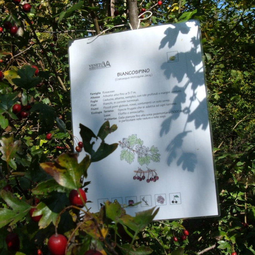 Attività escursionistiche e culturali nel verde circostante l'Agriturismo CantaRana, con focus sui prodotti tipici locali